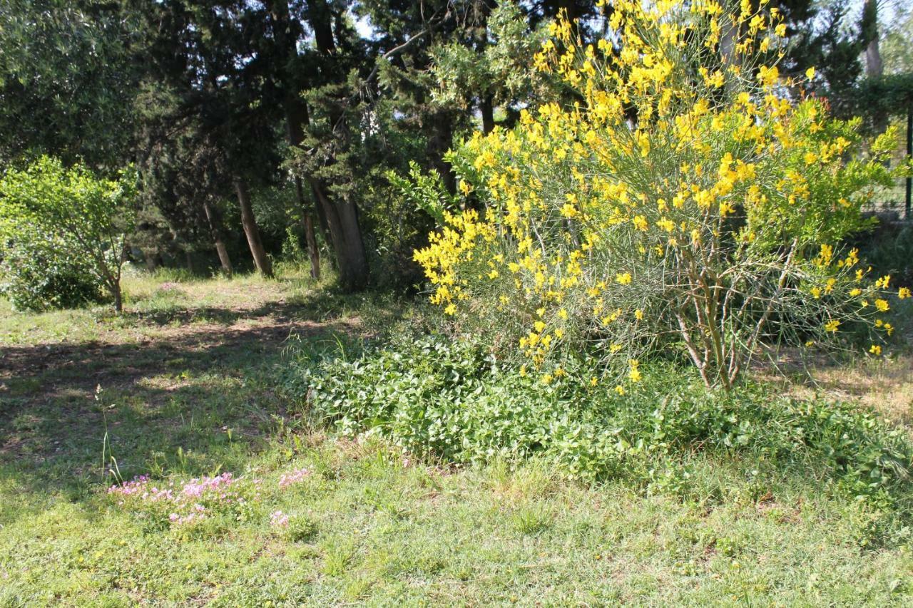 B&B Le Petit Frigouye Rochefort-du-Gard Dış mekan fotoğraf