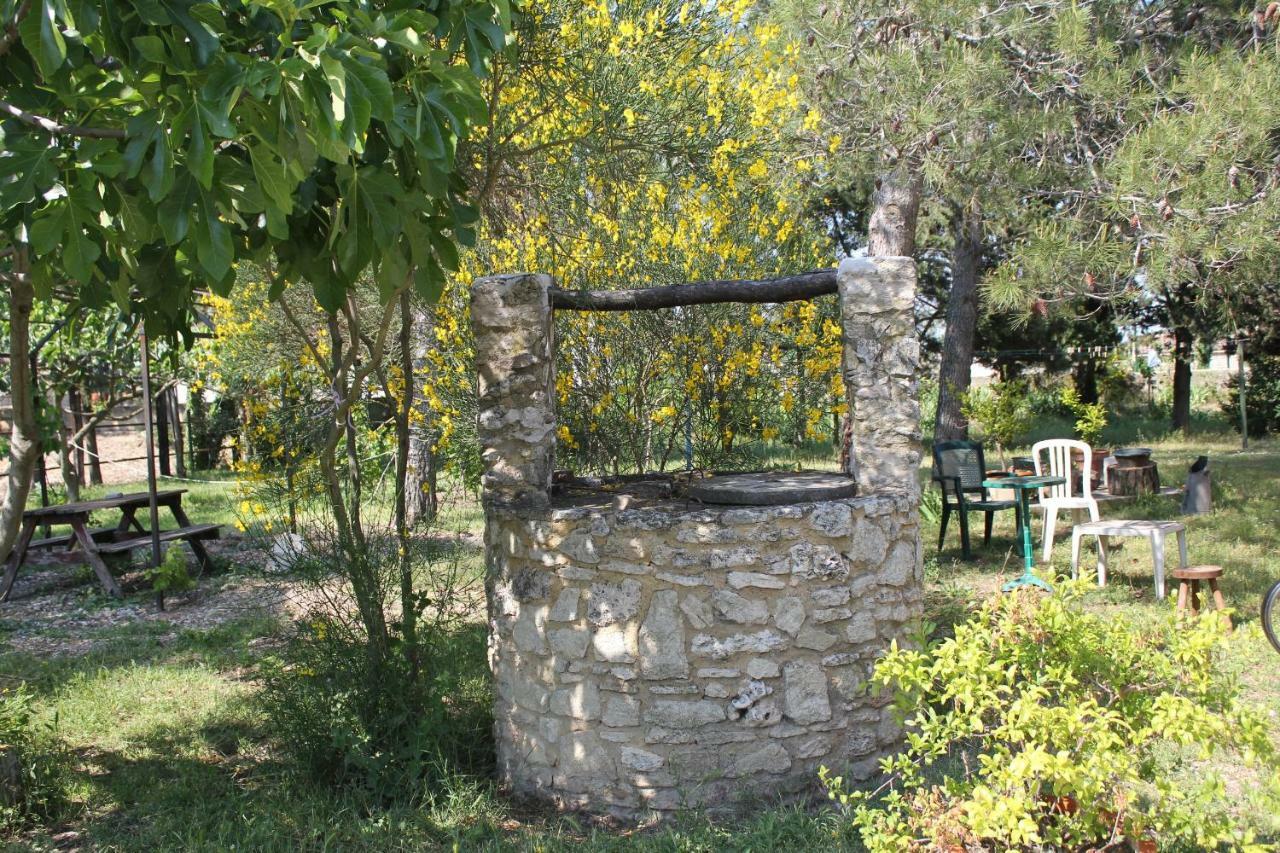 B&B Le Petit Frigouye Rochefort-du-Gard Dış mekan fotoğraf